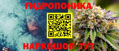 кокс Моздок