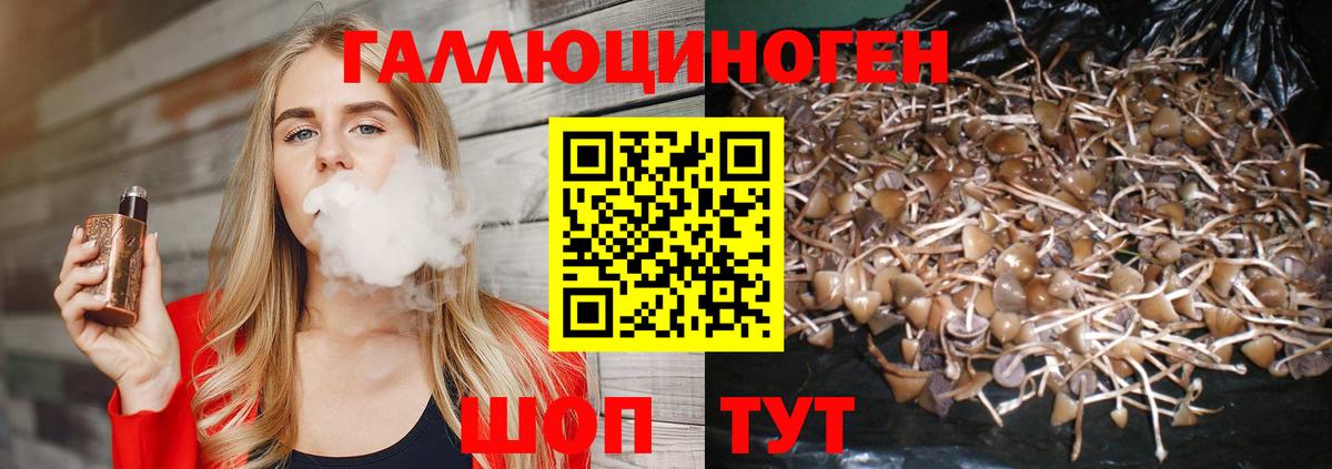Галлюциногенные грибы Psilocybine cubensis Чапаевск
